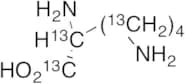 D-Lysine-13C6