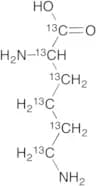 DL-Lysine·2HCl (13C6)