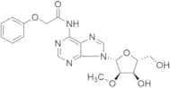 2'-​O-​Methyl-​N-​(phenoxyacetyl)​-adenosine