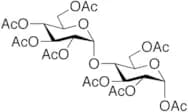 α-D-Maltose Octaacetate