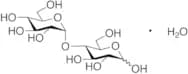 D-(+)-Maltose Monohydrate