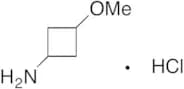 3-Methoxycyclobutanamine Hydrochloride