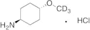 trans-4-Methoxycyclohexanamine-d3 Hydrochloride