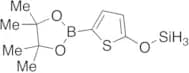 2-(5-Methoxy-2-thienyl)-4,4,5,5-tetramethyl-1,3,2-Dioxaborolane