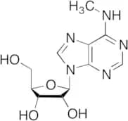 N6-Methyladenosine