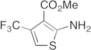 Methyl 2-Amino-4-trifluoromethylthiophene-3-carboxylate