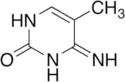 5-Methylcytosine (~90%)
