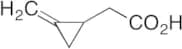 2-Methylenecyclopropaneacetic Acid
