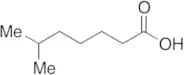 6-Methylheptanoic Acid (>90%)