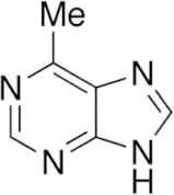 6-Methylpurine