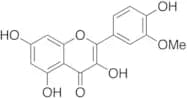 3'-O-Methyl Quercetin