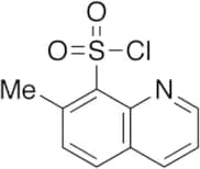 7-Methyl-8-quinoxalinesulfonyl Chloride