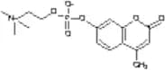 4-Methylumbelliferyl Phosphocholine