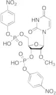 2'-O-Methyluridine 3',5'-Bis(4-nitrophenyl)phosphate Diester
