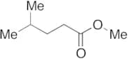 4-Methylvaleric Acid Methyl Ester