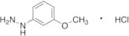 (3-Methoxyphenyl)hydrazine Hydrochloride