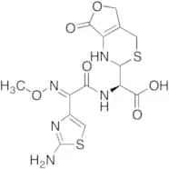 Methoxyimino Cefotaxime