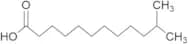 11-​Methyldodecanoic Acid
