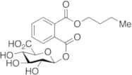Monobutyl Phthalate Acyl-b-D-glucuronide (>90%)
