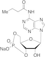 N6-Monobutyryladenosine 3':5'-Cyclic Monophosphate Sodium Salt