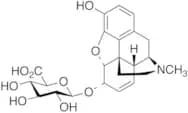 Morphine-6-β-D-glucuronide
