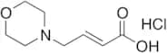 4-Morpholin-4-yl-but-2-enoic Acid Hydrochloride