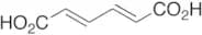 trans,trans-Muconic Acid
