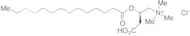 Myristoyl-L-carnitine Hydrochloride