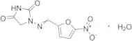Nitrofurantoin Monohydrate