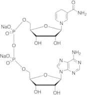 b-NADH Disodium Salt