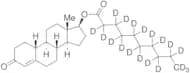 Nandrolone Decanoate-d19