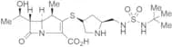 N-tert-butyl doripenem