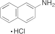 2-Naphthylamine Hydrochloride