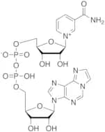 Nicotinamide 1,N6-Ethenoadenine Dinucleotide