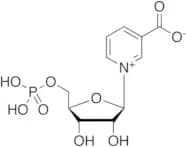 β-Nicotinic Acid Mononucleotide