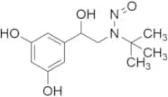 N-Nitroso Terbutaline
