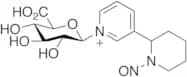 (R,S)-N2-Nitroso-Anabasine N’-β-D-Glucuronide