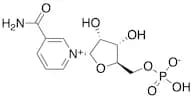 a-Nicotinamide Mononucleotide (>85%)