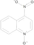 4-Nitroquinoline N-Oxide
