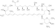 Carboxylate Ion of Nystatin