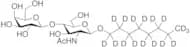 Octyl-d17 2-(Acetylamino)-2-deoxy-4-O-β-D-galactopyranosyl-β-D-glucopyranoside