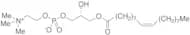 1-Oleoyl-sn-glycero-3-phosphocholine