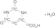Orotic Acid-13C5 Monohydrate