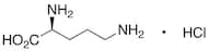 L-Ornithine Hydrochloride
