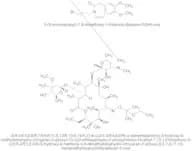 Oxacyclotetradecane Erythromycin Derivatives