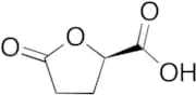 (R)-5-Oxotetrahydrofuran-2-carboxylic Acid