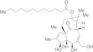 13-Oxyingenol Dodecanoate