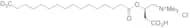 Palmitoyl-16,16,16-d3-L-carnitine Hydrochloride