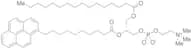 1-Palmitoyl-2-pyrenedecanoylphosphatidylcholine