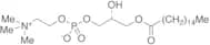 1-Palmitoyl-sn-glycero-3-phosphocholine